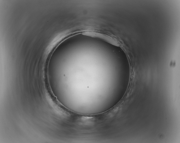 X0000113560055200910021604
