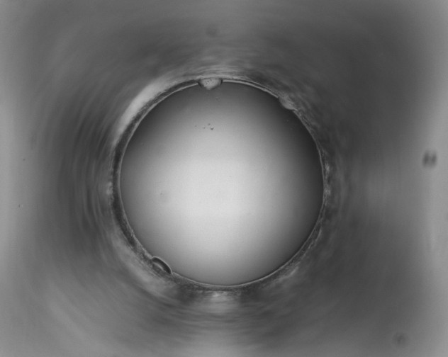 X0000113560056200910021604