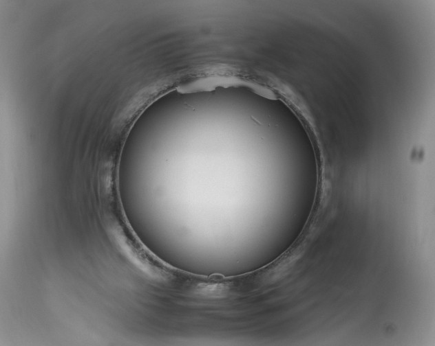 X0000113560057200910021604