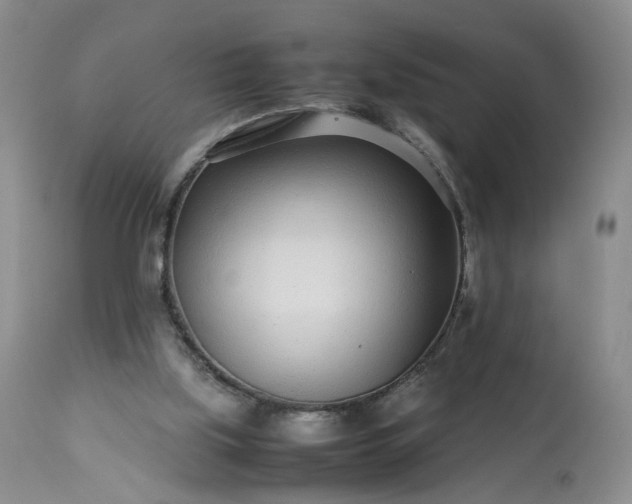 X0000113560059200910021604