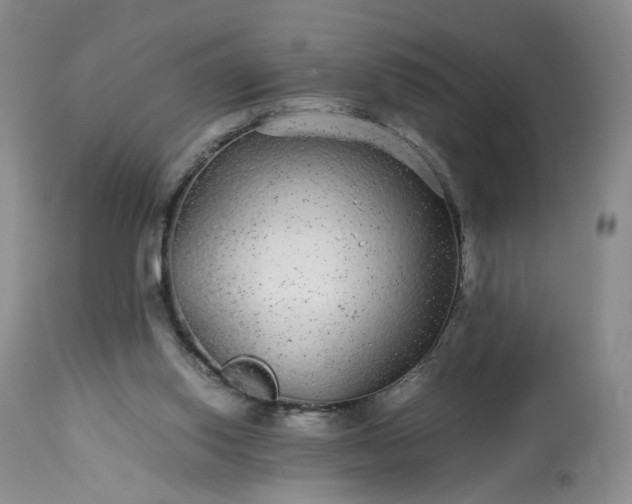 X0000113560062200910021604