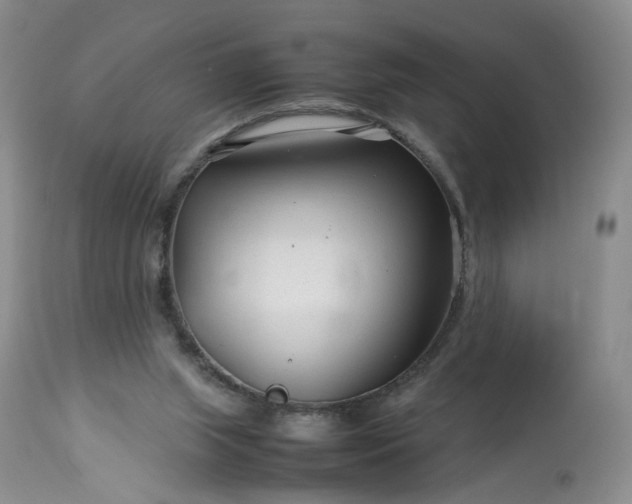X0000113560063200910021604