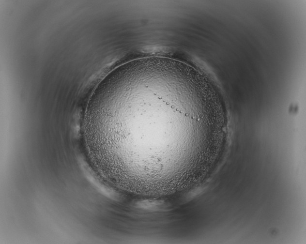 X0000113560065200910021604