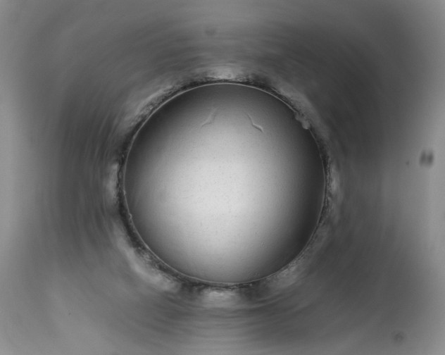 X0000113560066200910021604