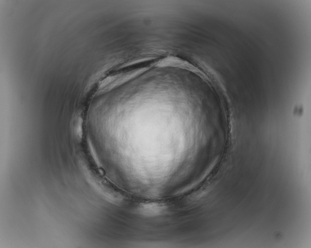 X0000113560067200910021604