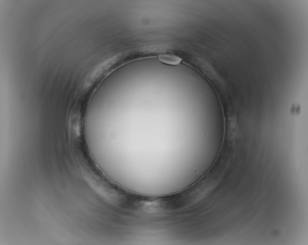 X0000113560068200910021604