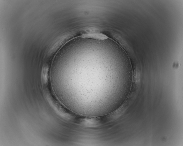 X0000113560070200910021605