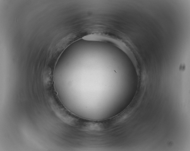 X0000113560073200910021605