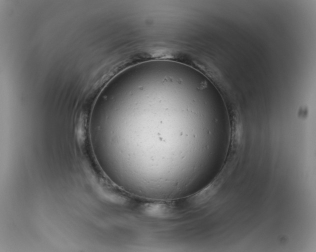 X0000113560074200910021605