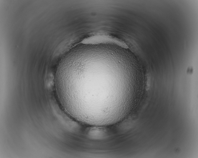 X0000113560077200910021605