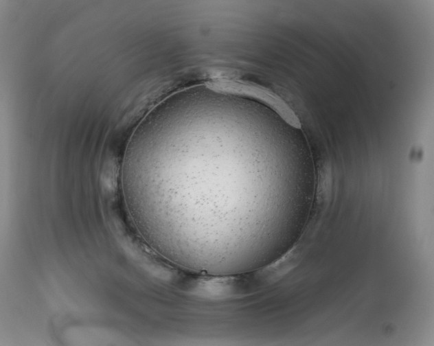 X0000113560078200910021605