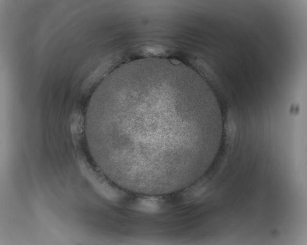 X0000113560079200910021605