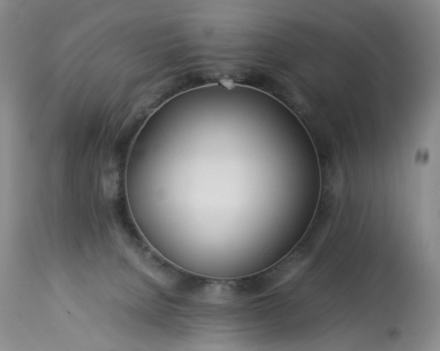 X0000113560080200910021605