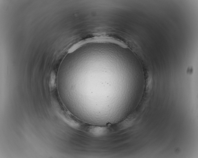 X0000113560081200910021605