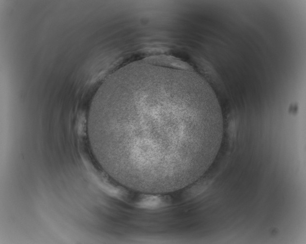 X0000113560083200910021605