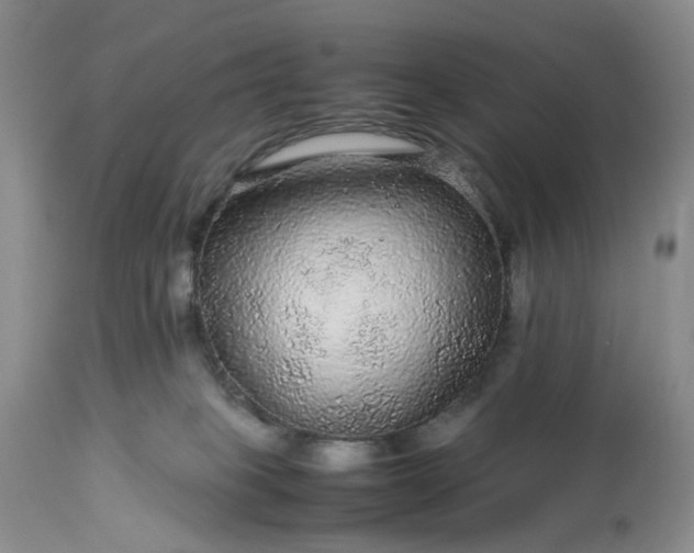 X0000113560085200910021605