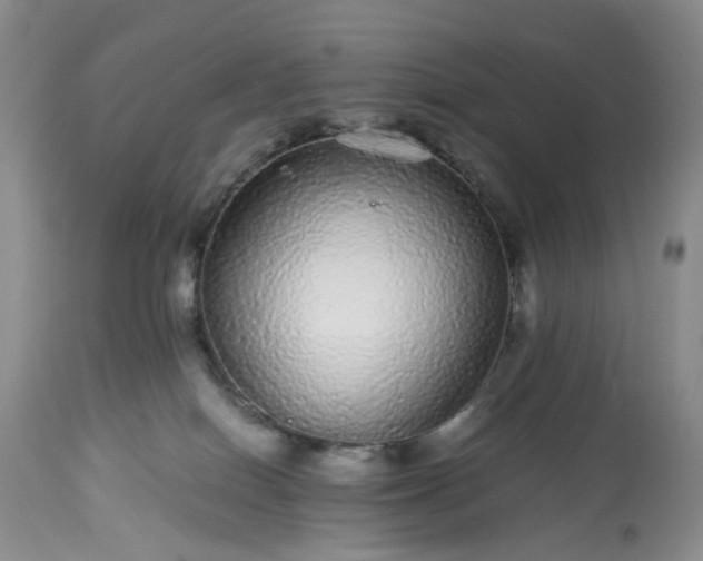 X0000113560086200910021605
