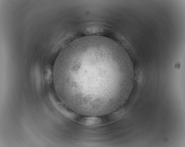 X0000113560087200910021605