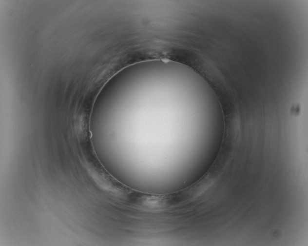 X0000113560088200910021605