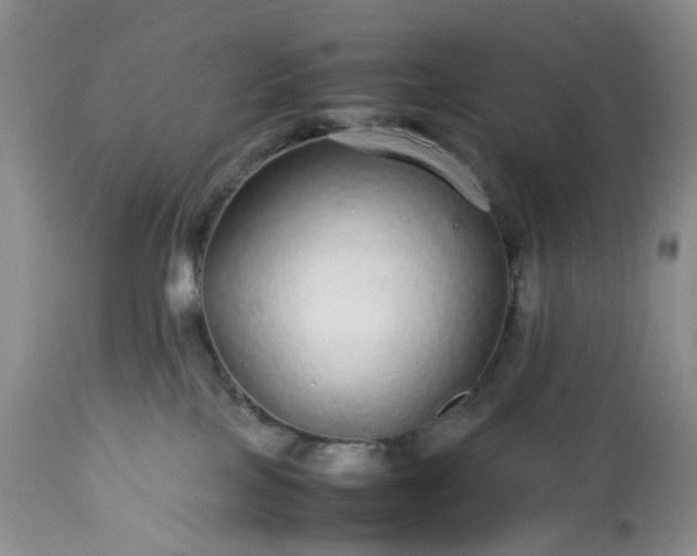 X0000113560089200910021605