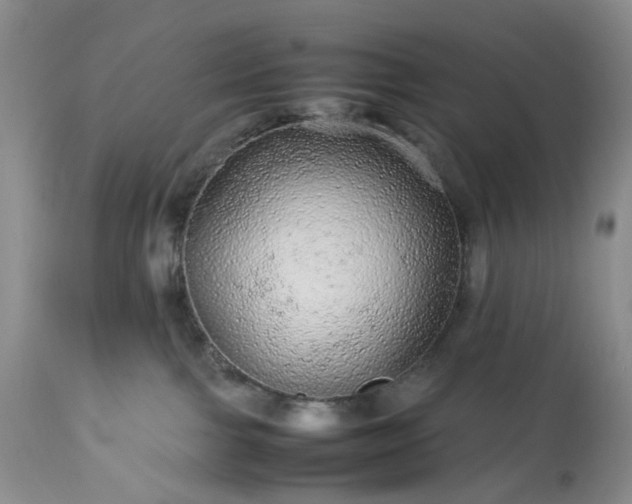 X0000113560091200910021605