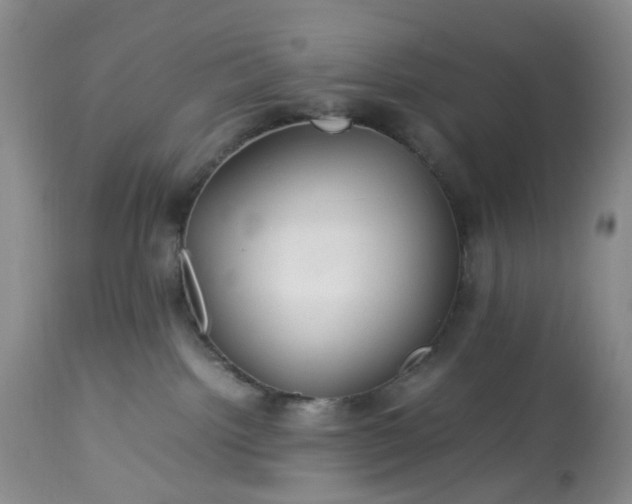X0000113560092200910021605