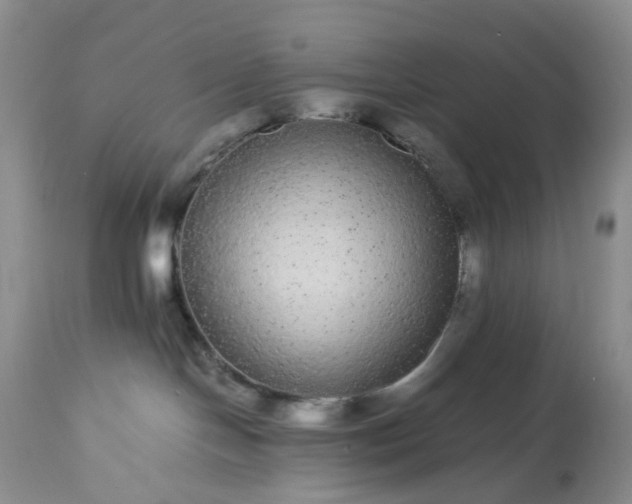 X0000113560094200910021605