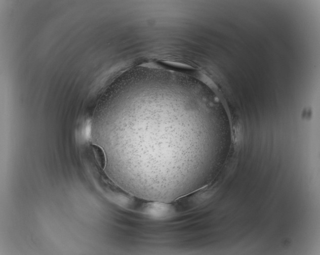 X0000113560095200910021605