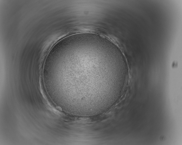 X0000113560097200910021604