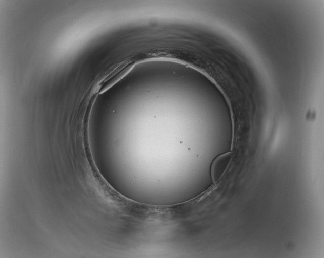 X0000113560099200910021604