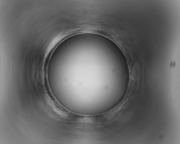 X0000113560102200910021604
