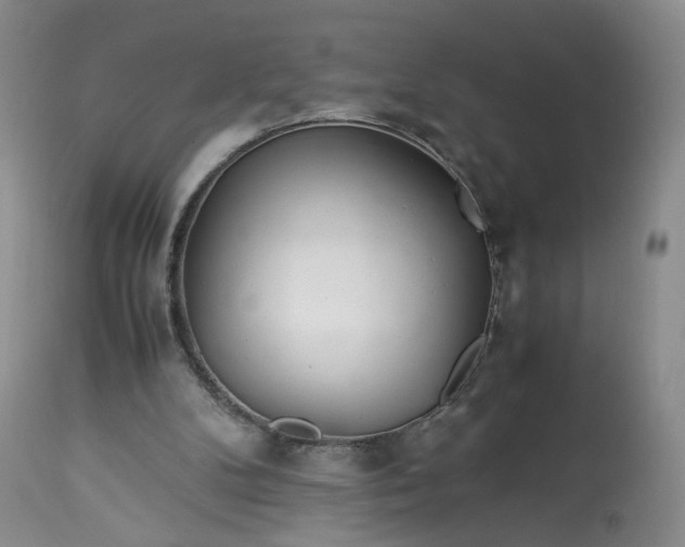 X0000113560104200910021604