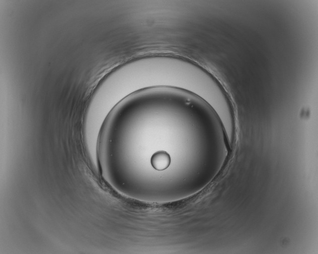 X0000113560105200910021604