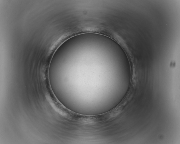 X0000113560106200910021604