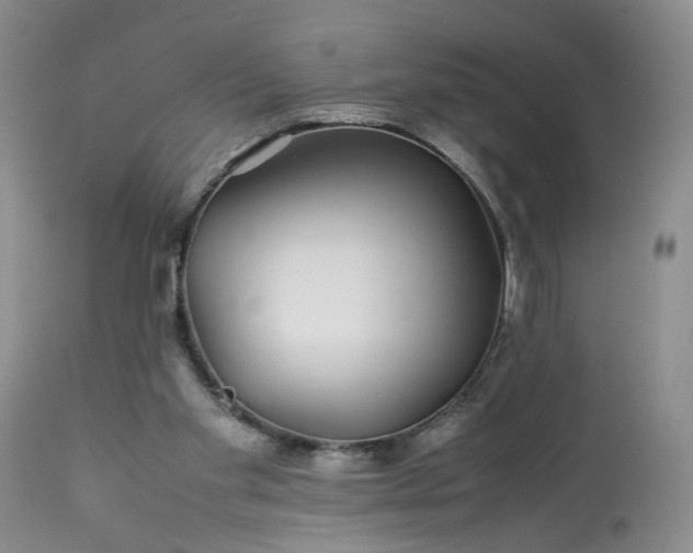 X0000113560109200910021604
