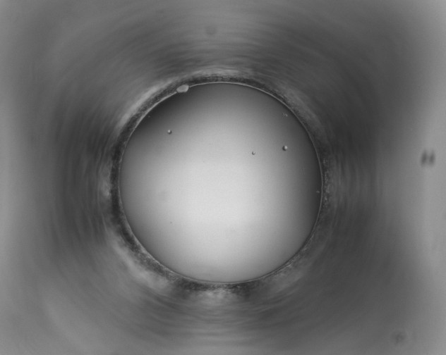 X0000113560112200910021604