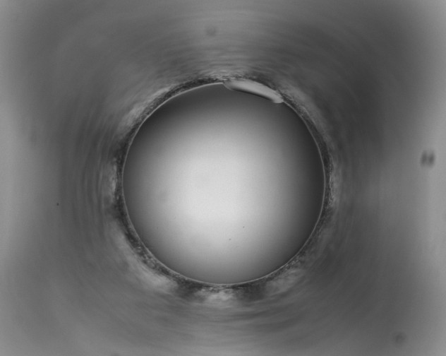 X0000113560113200910021604