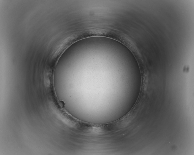 X0000113560114200910021604