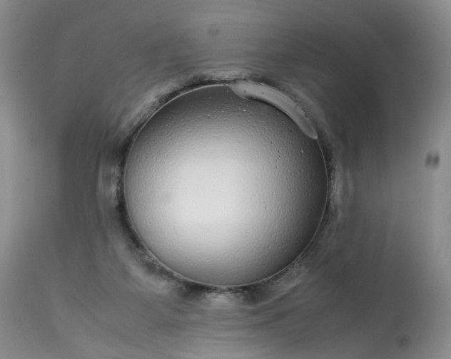 X0000113560115200910021604