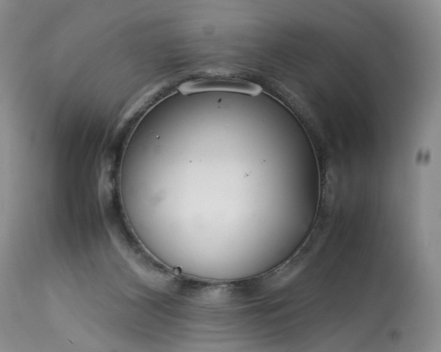 X0000113560116200910021604