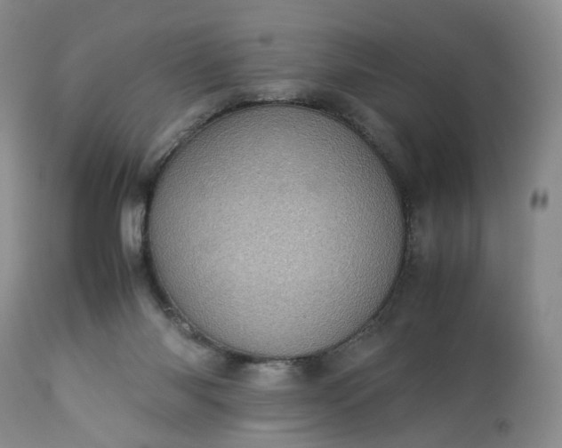 X0000113560118200910021604