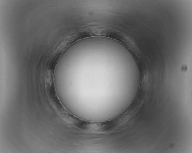X0000113560121200910021604