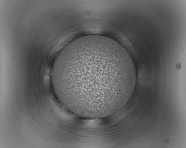 X0000113560122200910021604