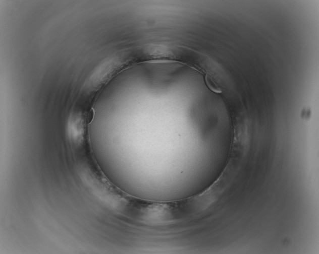 X0000113560124200910021604