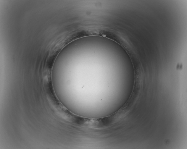 X0000113560125200910021604