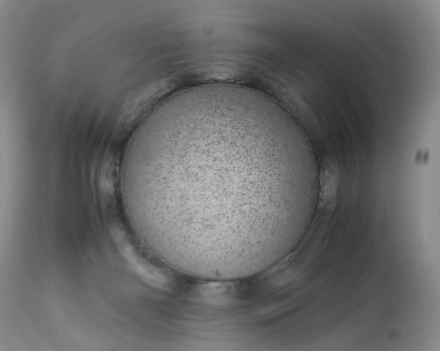 X0000113560126200910021604