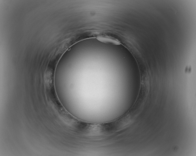 X0000113560127200910021604