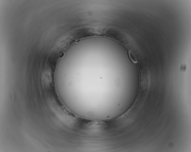 X0000113560128200910021604