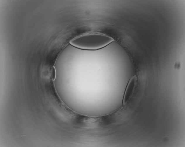 X0000113560129200910021604