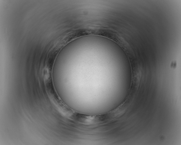 X0000113560130200910021604